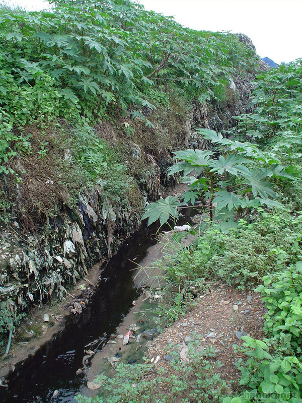 ゴミ山を流れる川
ゴミの成分を濾した真っ黒な水が流れています
タグ: 2003 プノンペン