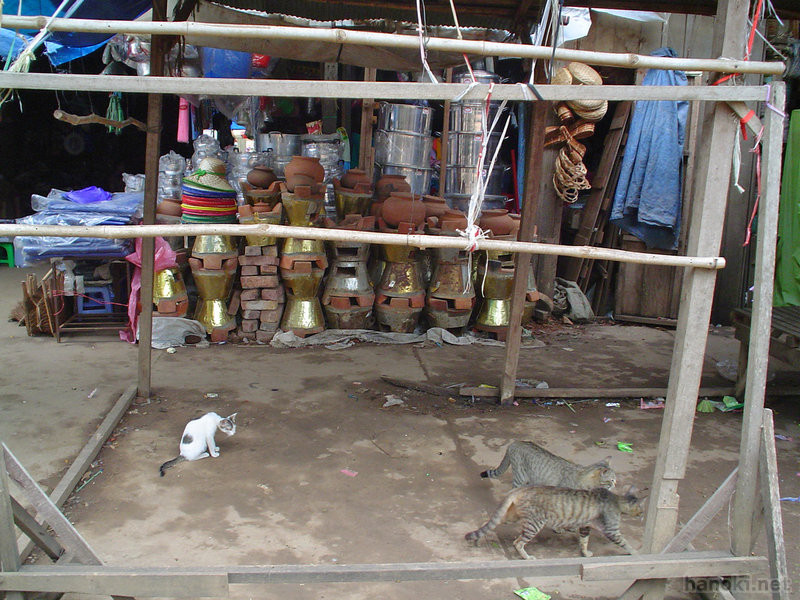 バッタンバン
プサールー
タグ: 2003 バッタンバン州 市場 猫