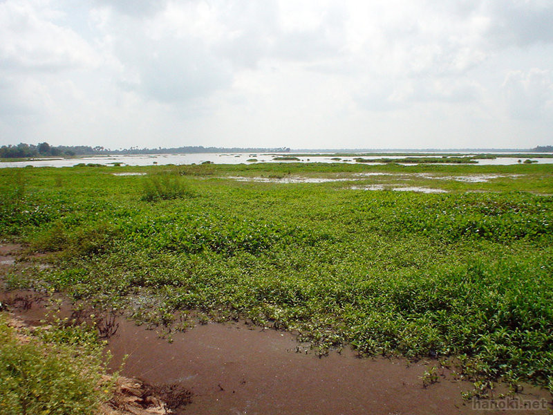 湿地
タグ: 2004 スヴァイリエン州