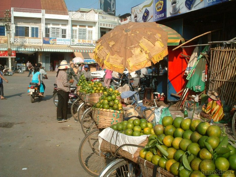バッタンバンオレンジ
タグ: 2005 バッタンバン州 市場 果物