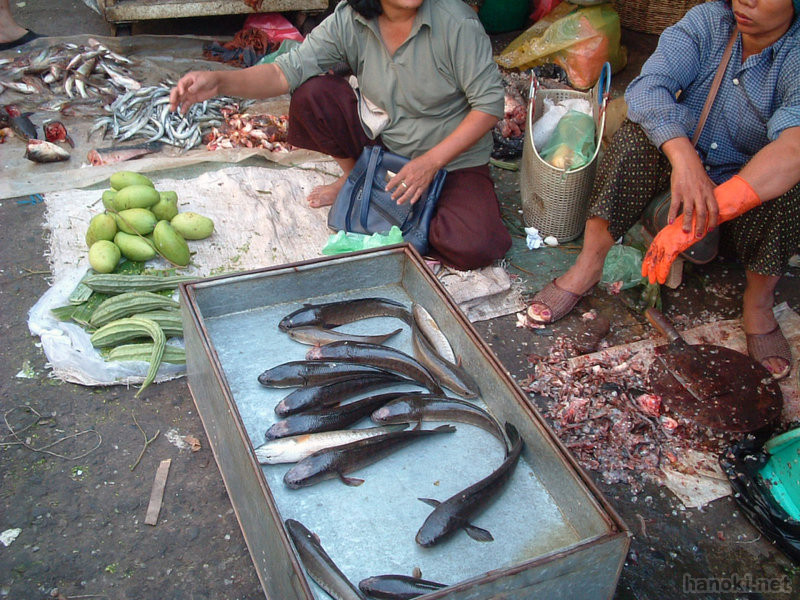 タグ: 2005 プノンペン 市場 魚