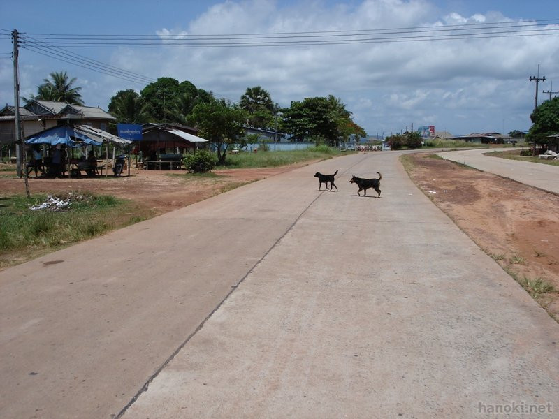 ココンからタイへ行く道
タグ: 2006 ココン州 道路 犬