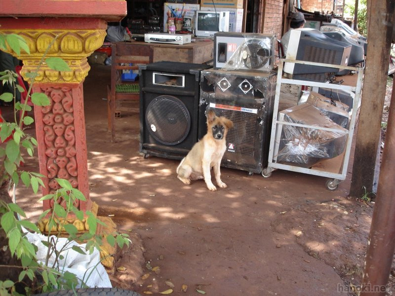 スピーカーと犬
タグ: 2006 クラチェ州 犬 祠 スピーカー