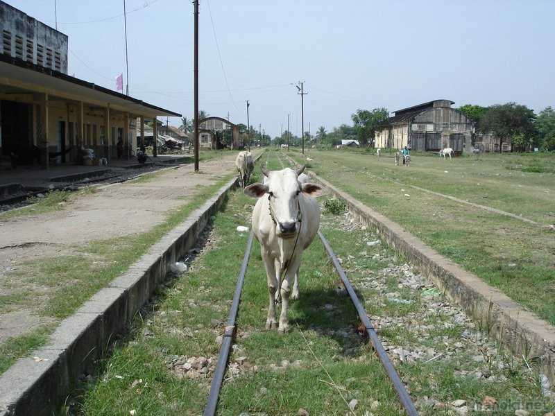 バッタンバン駅
タグ: 2006 バッタンバン州 牛 鉄道