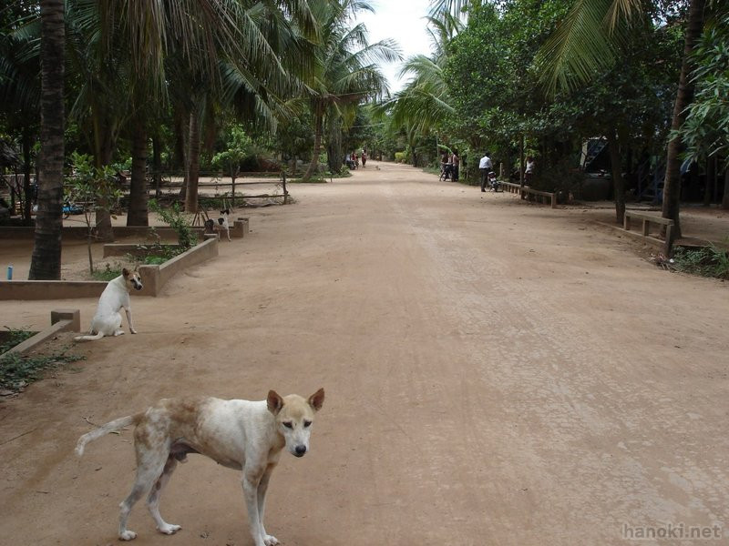 ダッチ島
タグ: 2006 プノンペン 道 村 犬
