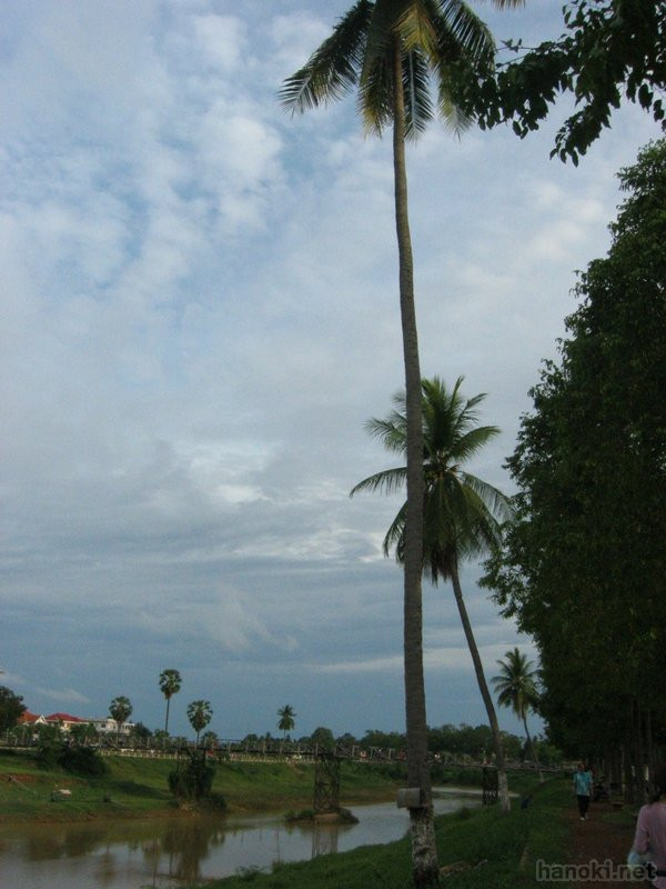川沿いのヤシの木 
タグ: 2006 バッタンバン州 川 椰子